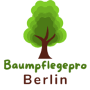 Baumpflege Berlin